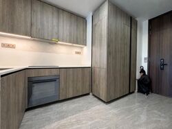 Leedon Green (D10), Condominium #596418481